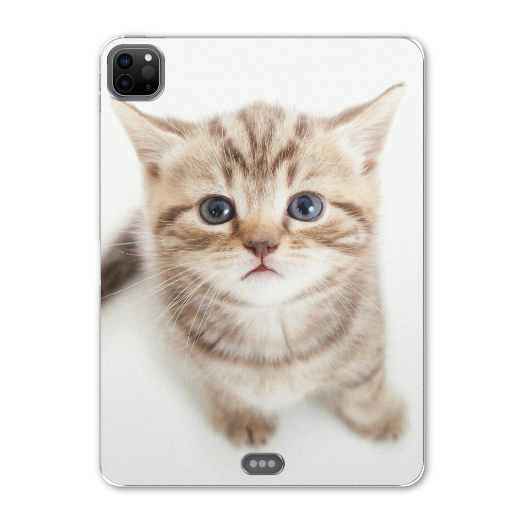 iPad Pro 12.9inch 2020発売モデル 第4世代