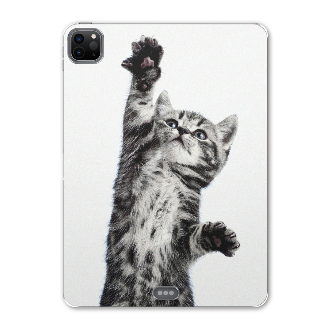 iPad Pro 12.9inch 2020発売モデル 第4世代