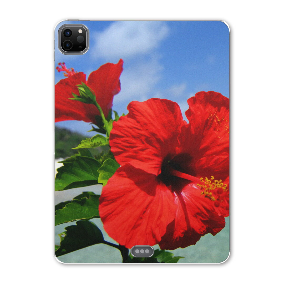 iPad Pro 12.9inch 2020発売モデル 第4世代