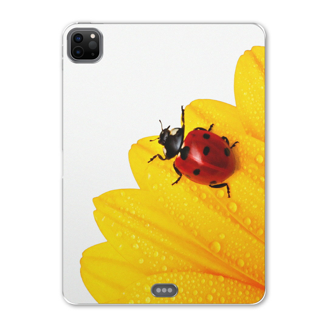 iPad Pro 12.9inch 2020発売モデル 第4世代