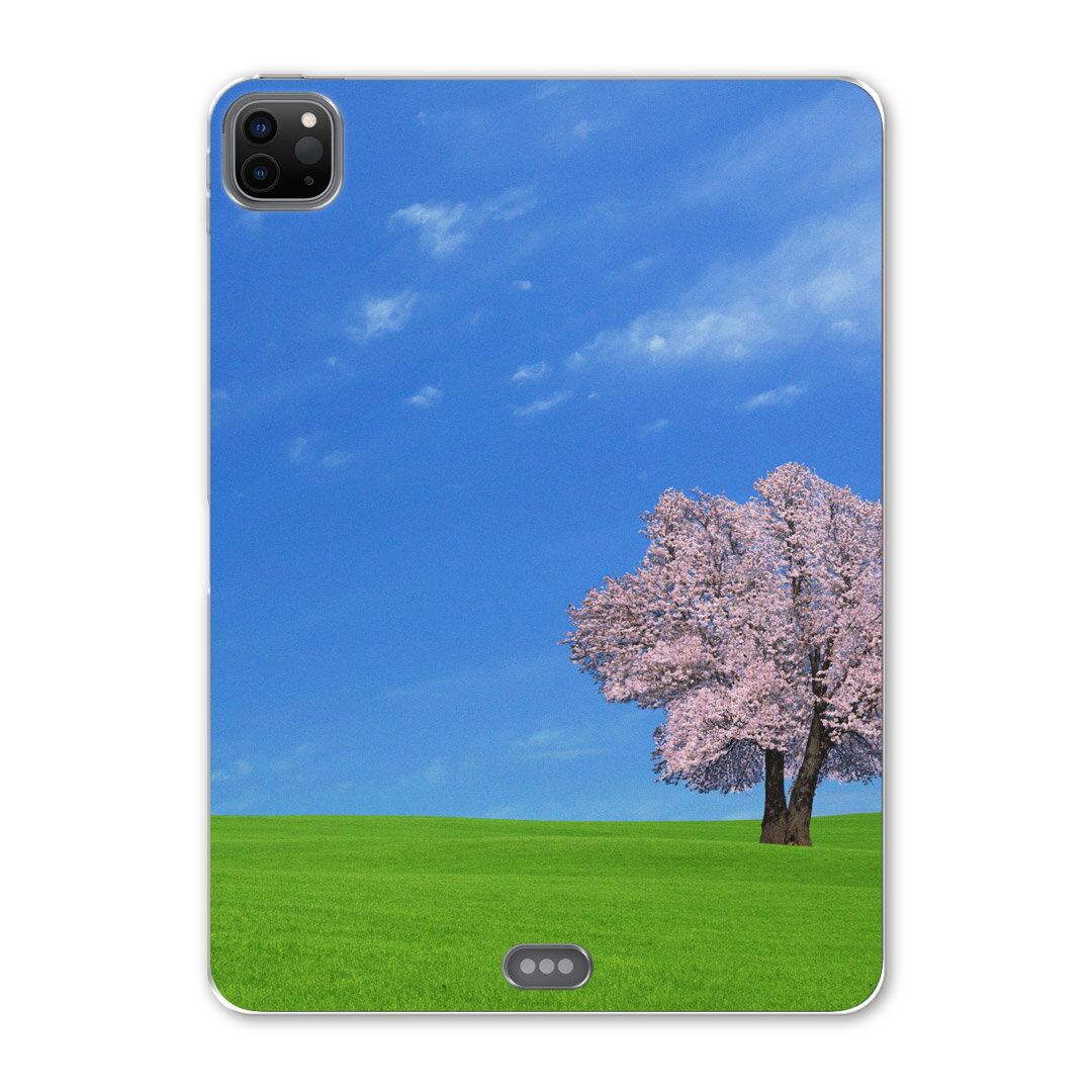 iPad Pro 11 第2世代 2020年版 用 ケース ソフト TPUケース A2228 A2068 A2230 対応 タブレットケース タブレットカバー 002466 写真・風景 景色　風景　桜