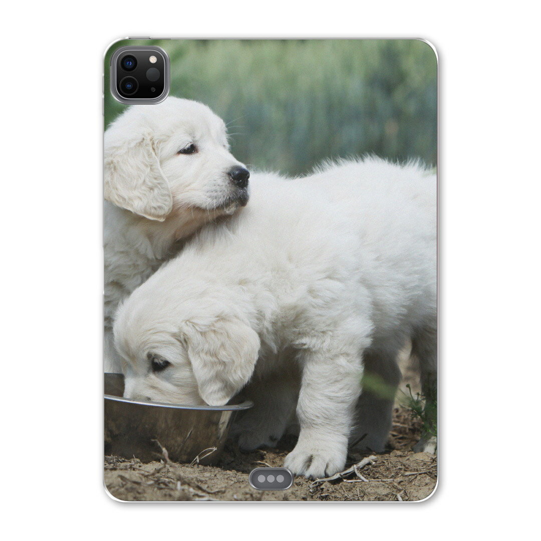 iPad Pro 12.9inch 2020発売モデル 第4世代