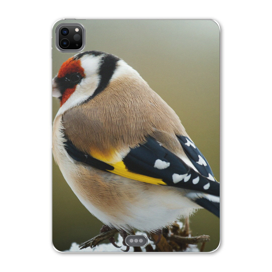 iPad Pro 12.9inch 2020発売モデル 第4世代