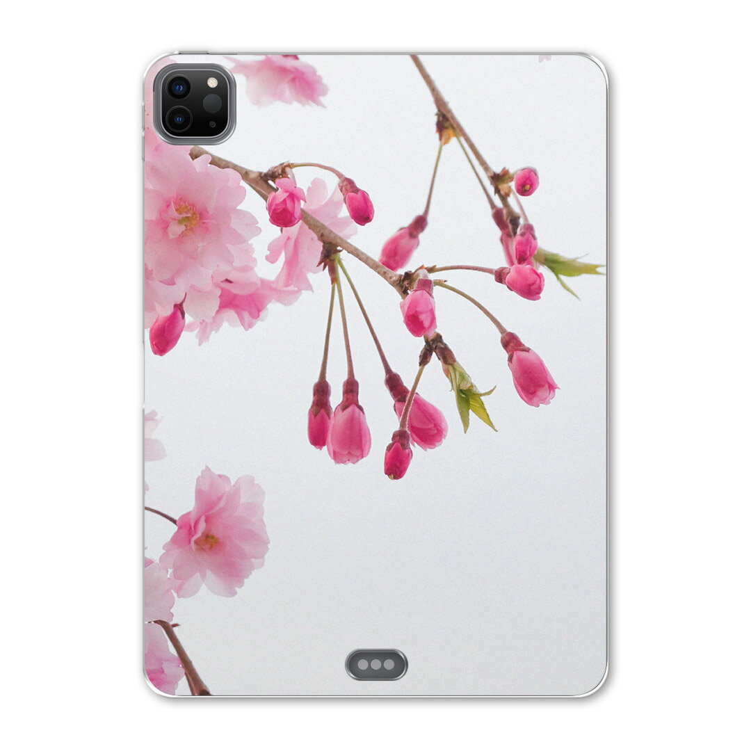 iPad Pro 12.9inch 2020発売モデル 第4世代