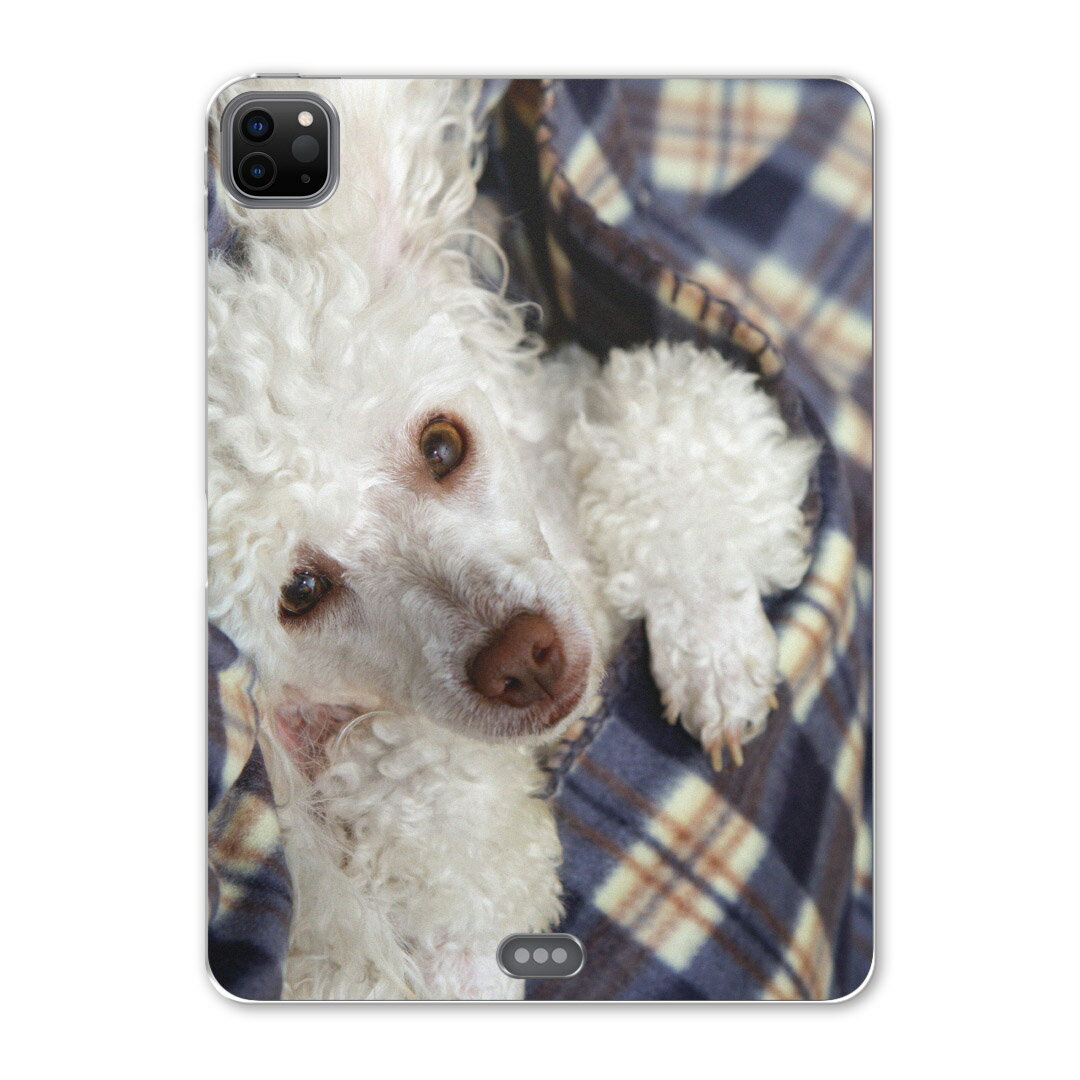 iPad Pro 12.9inch 2020発売モデル 第4世代