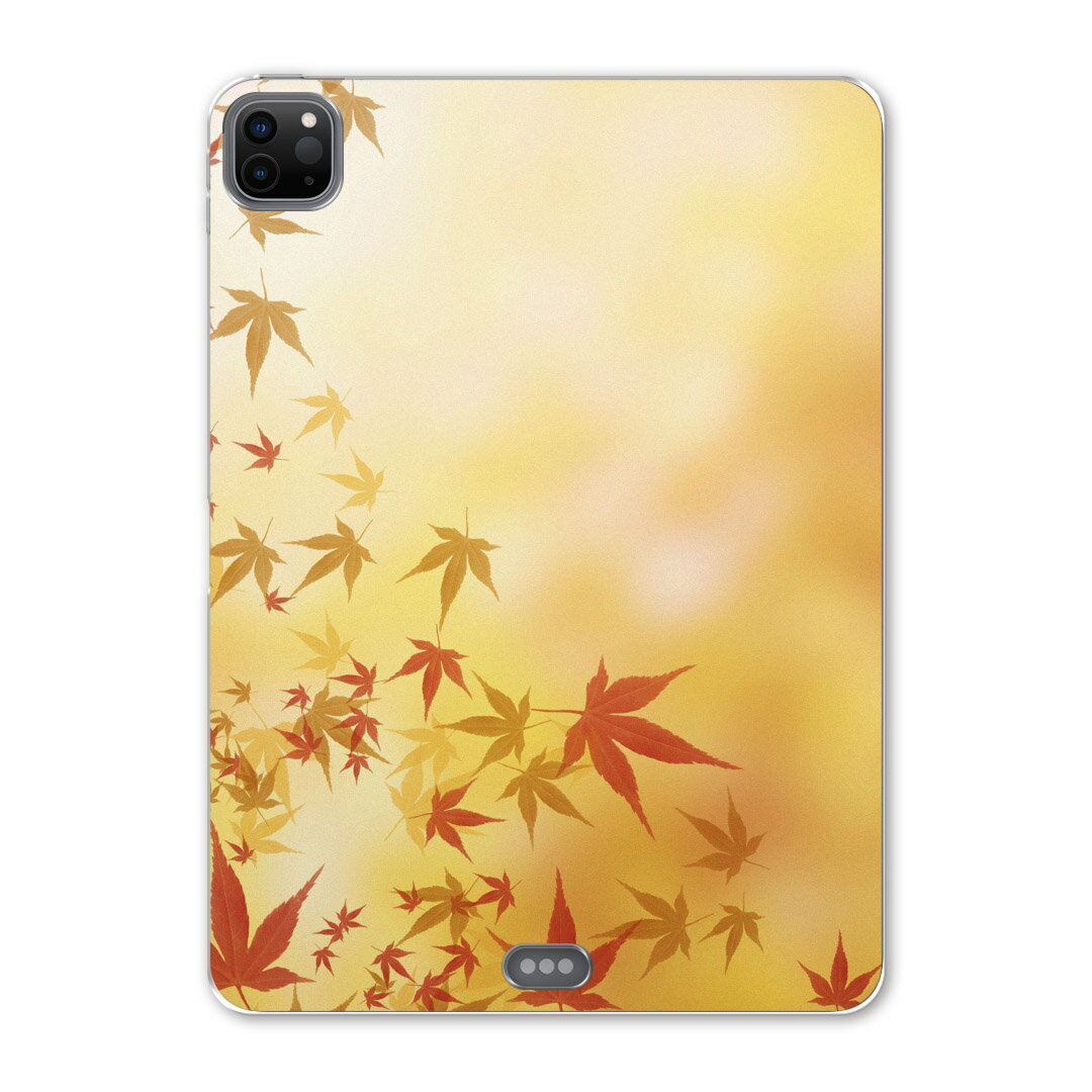 iPad Pro 12.9inch 2020発売モデル 第4世代