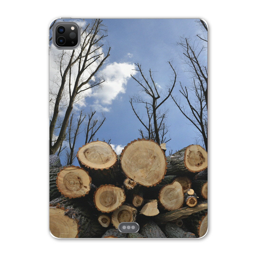 iPad Pro 12.9inch 2020発売モデル 第4世代