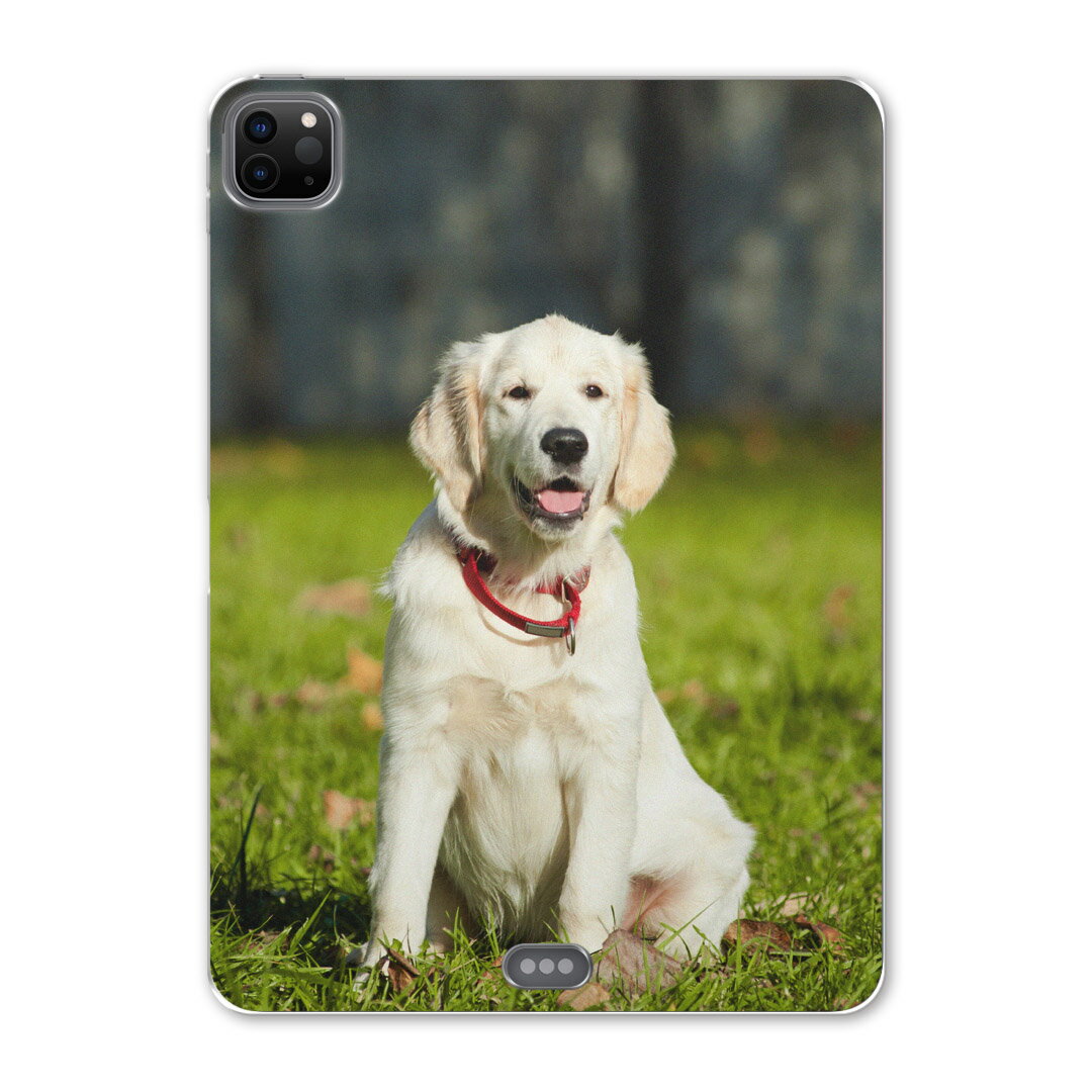 iPad Pro 12.9inch 2020発売モデル 第4世代