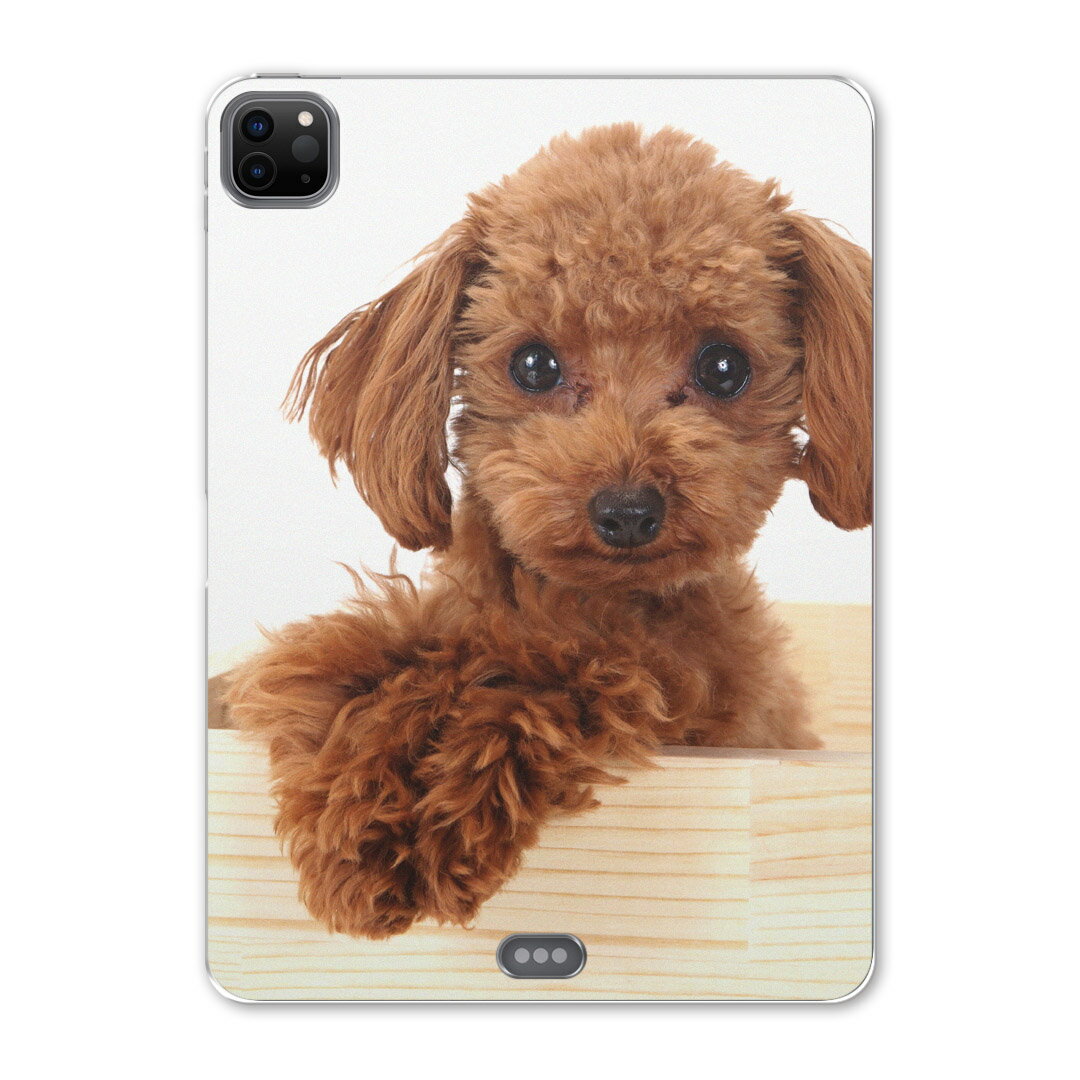 iPad Pro 12.9inch 2020発売モデル 第4世代