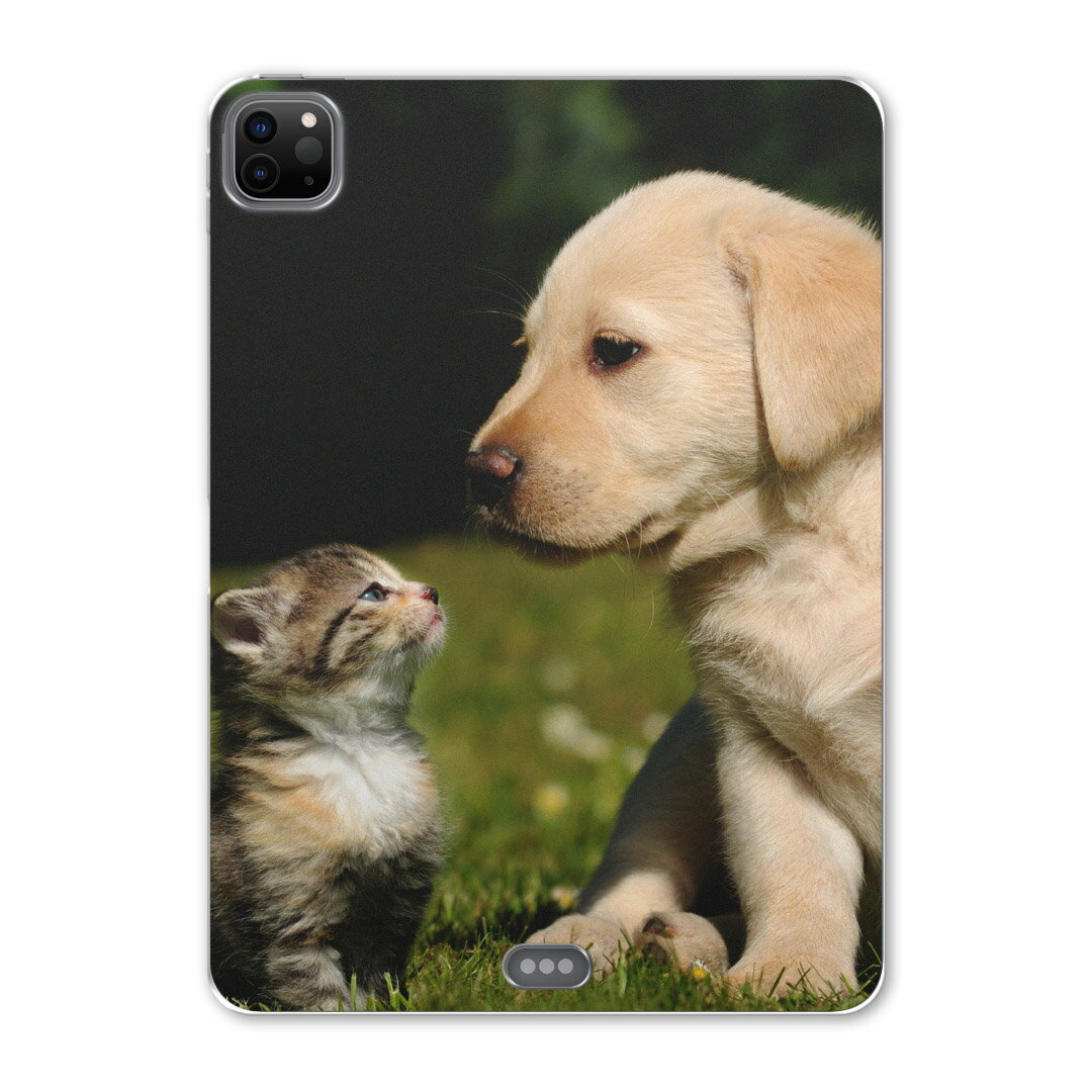 iPad Pro 12.9inch 2020発売モデル 第4世代