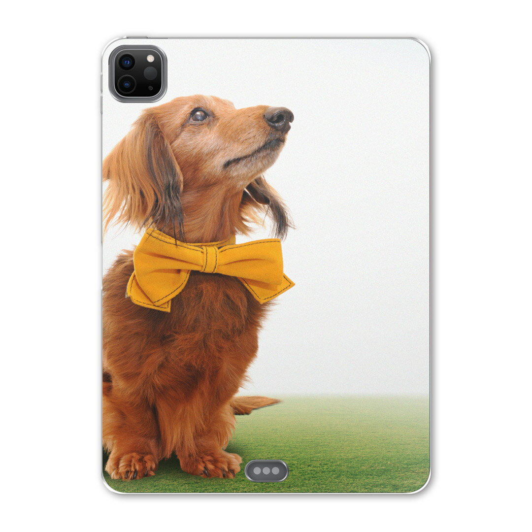 iPad Pro 12.9inch 2020発売モデル 第4世代