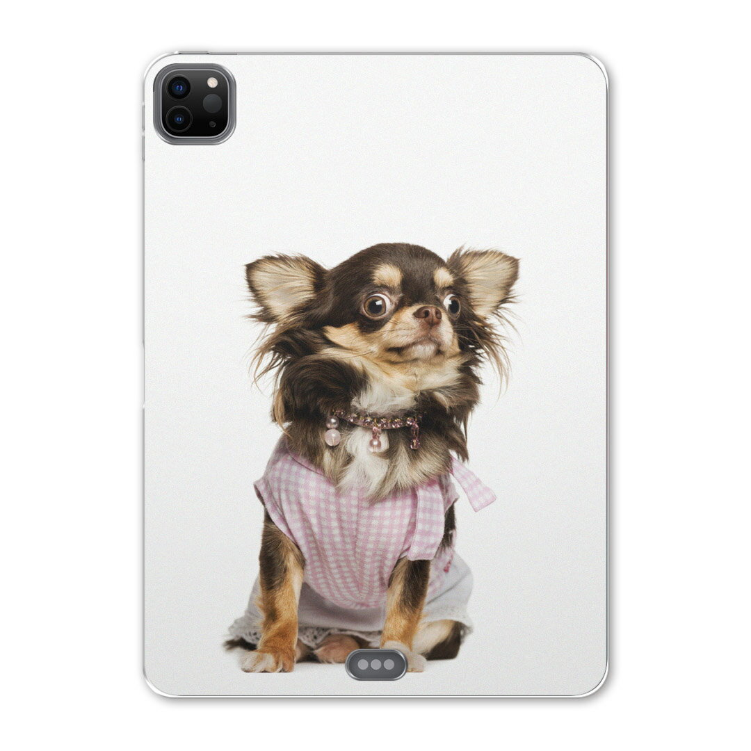 iPad Pro 12.9inch 2020発売モデル 第4世代