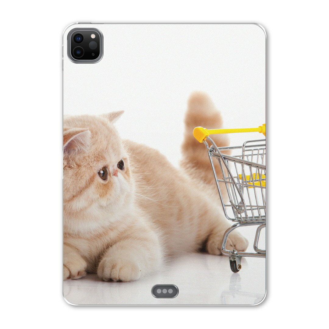 iPad Pro 12.9inch 2020発売モデル 第4世代