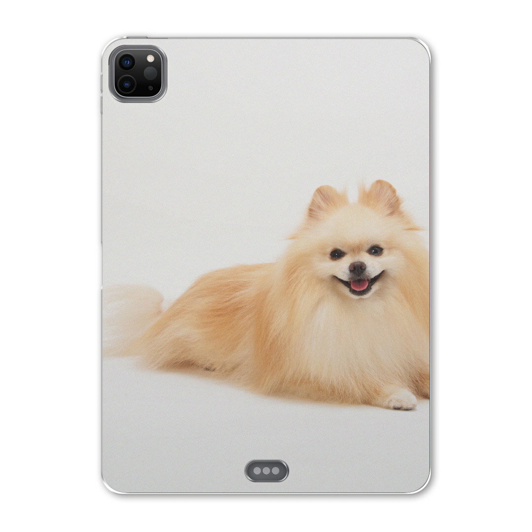 iPad Pro 12.9inch 2020発売モデル 第4世代