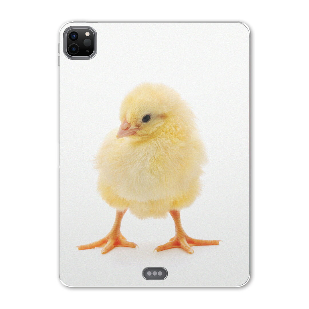 iPad Pro 12.9inch 2020発売モデル 第4世代