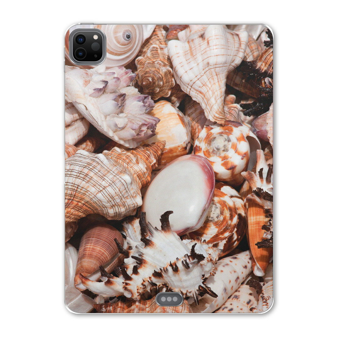 iPad Pro 12.9inch 2020発売モデル 第4世代