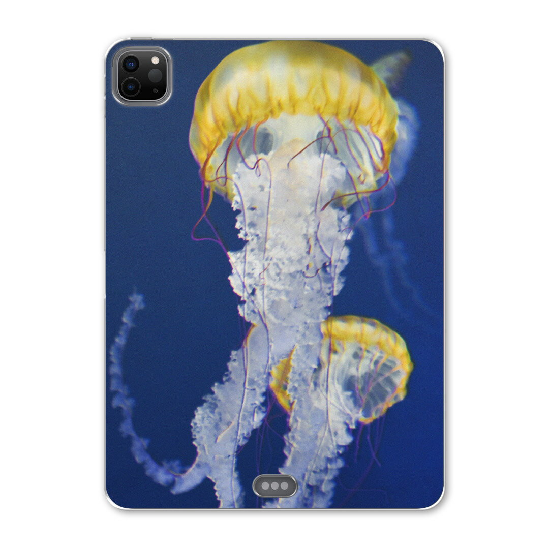 iPad Pro 12.9inch 2020発売モデル 第4世代