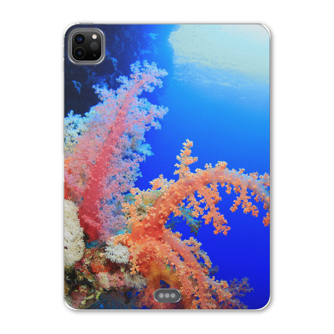 iPad Pro 12.9inch 2020発売モデル 第4世代