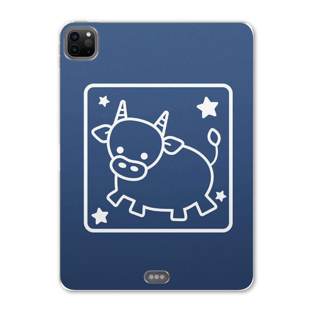 iPad Pro 12.9inch 2020発売モデル 第4世代