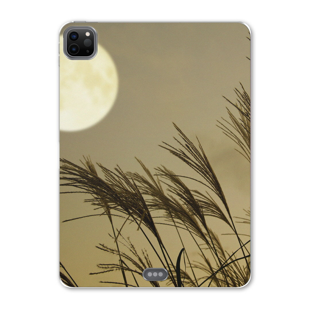 iPad Pro 12.9inch 2020発売モデル 第4世代