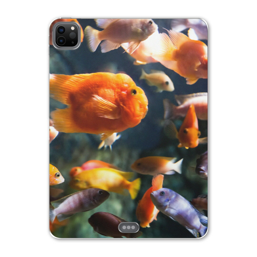 iPad Pro 12.9inch 2020発売モデル 第4世代