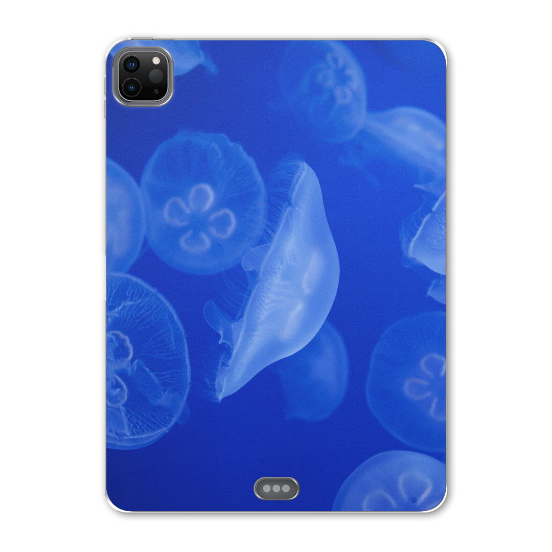 iPad Pro 12.9inch 2020発売モデル 第4世代