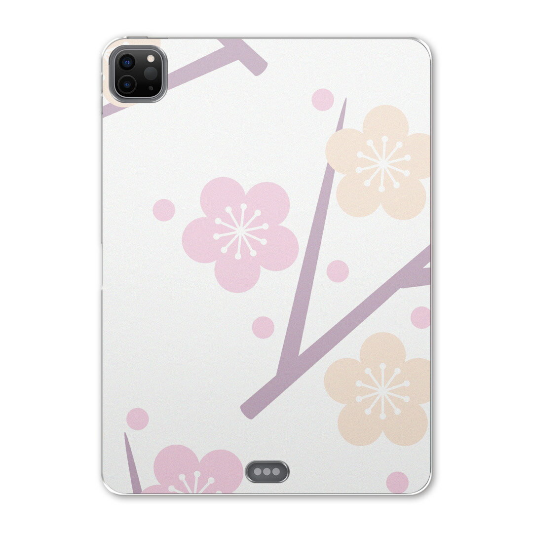 iPad Pro 12.9inch 2020発売モデル 第4世代