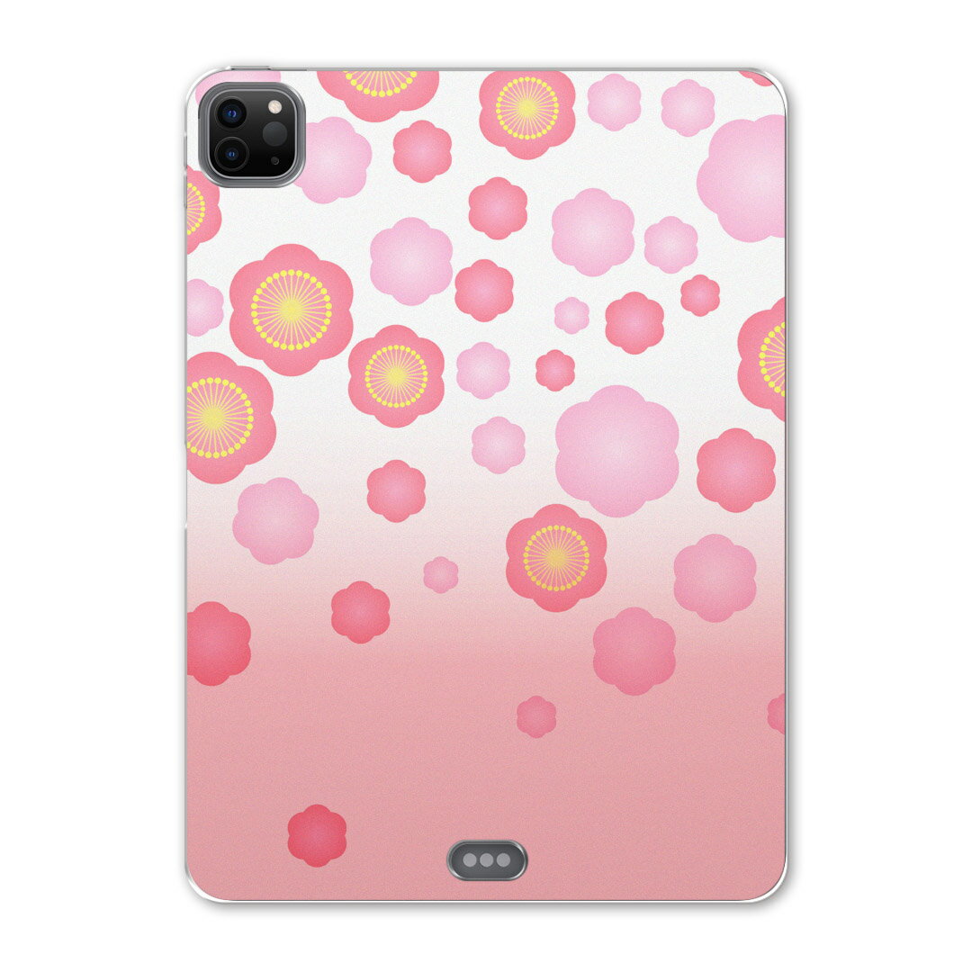 iPad Pro 12.9inch 2020発売モデル 第4世代