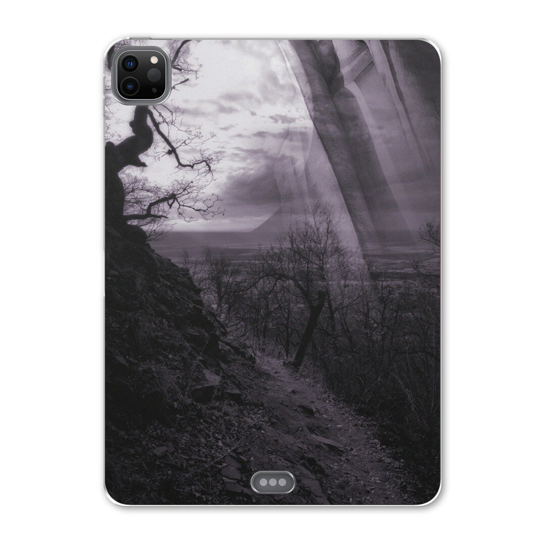 iPad Pro 12.9inch 2020発売モデル 第4世代