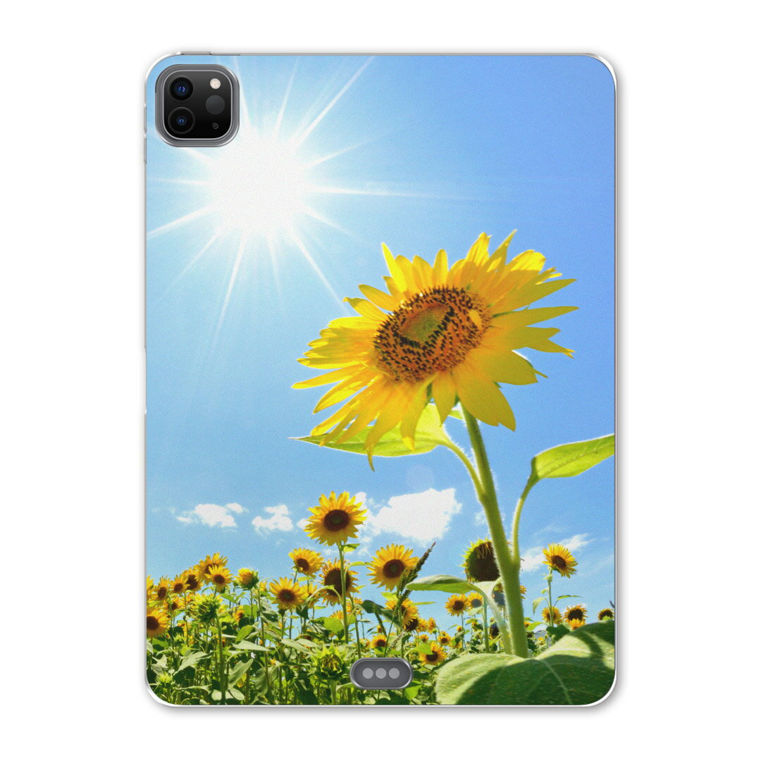 iPad Pro 12.9inch 2020発売モデル 第4世代