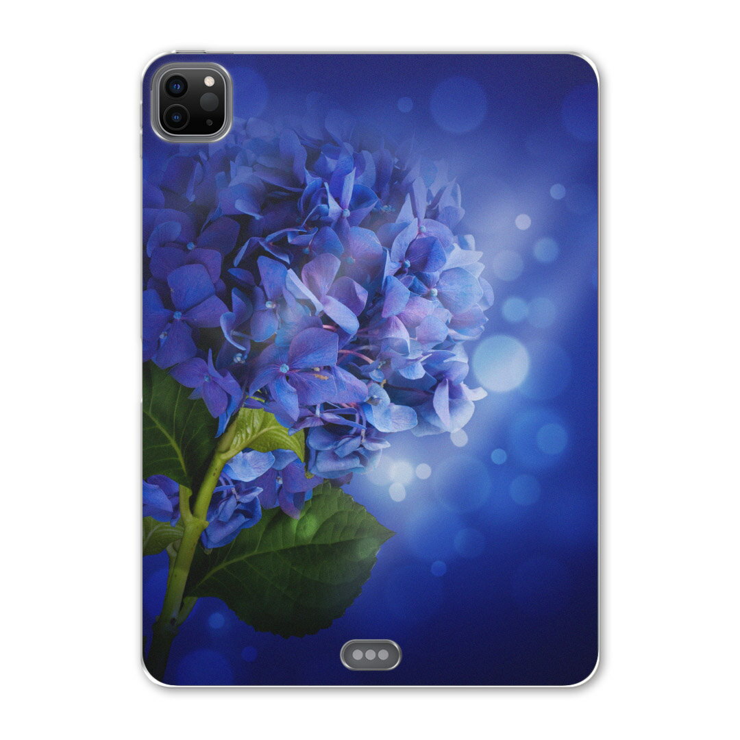 iPad Pro 12.9inch 2020発売モデル 第4世代