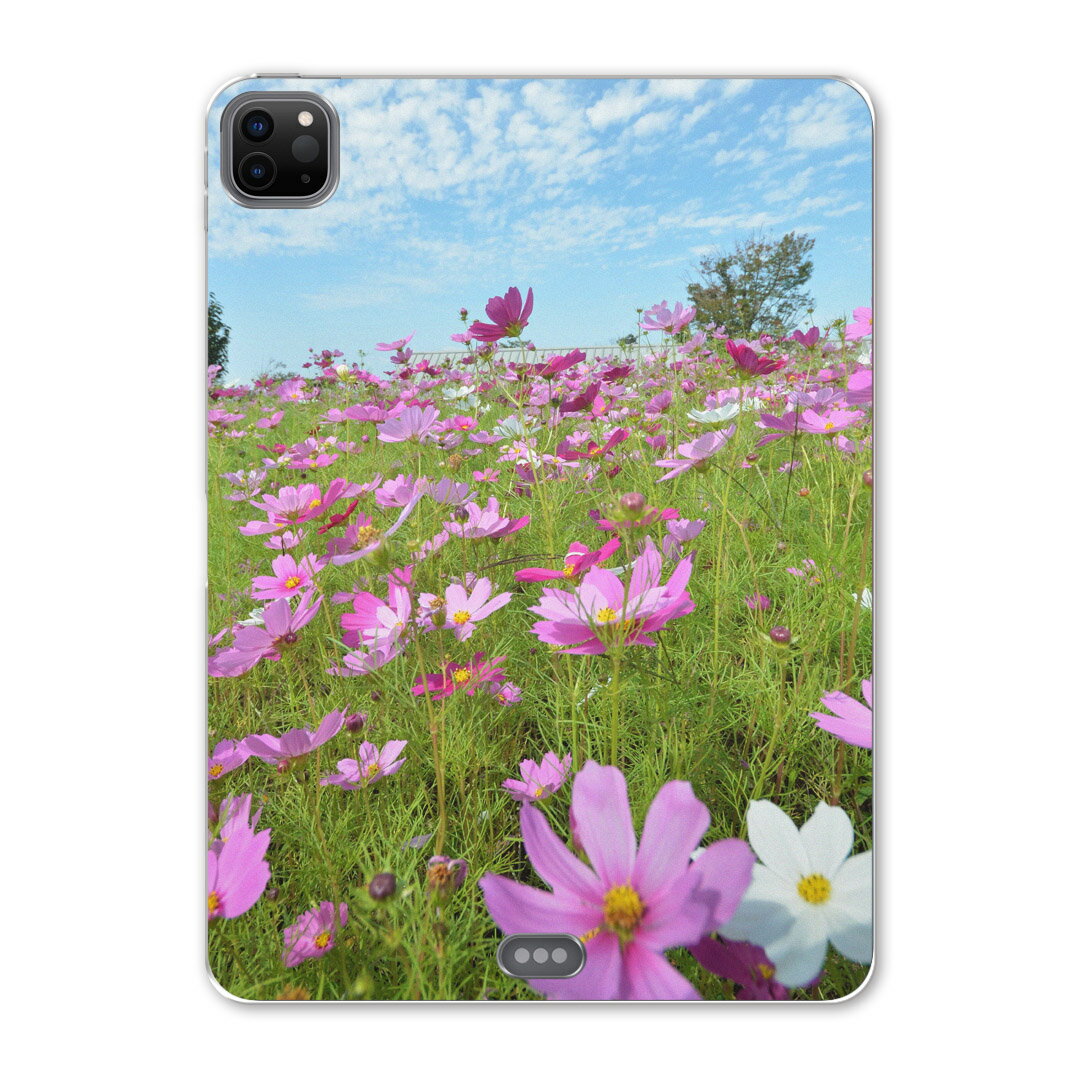 iPad Pro 12.9inch 2020発売モデル 第4世代