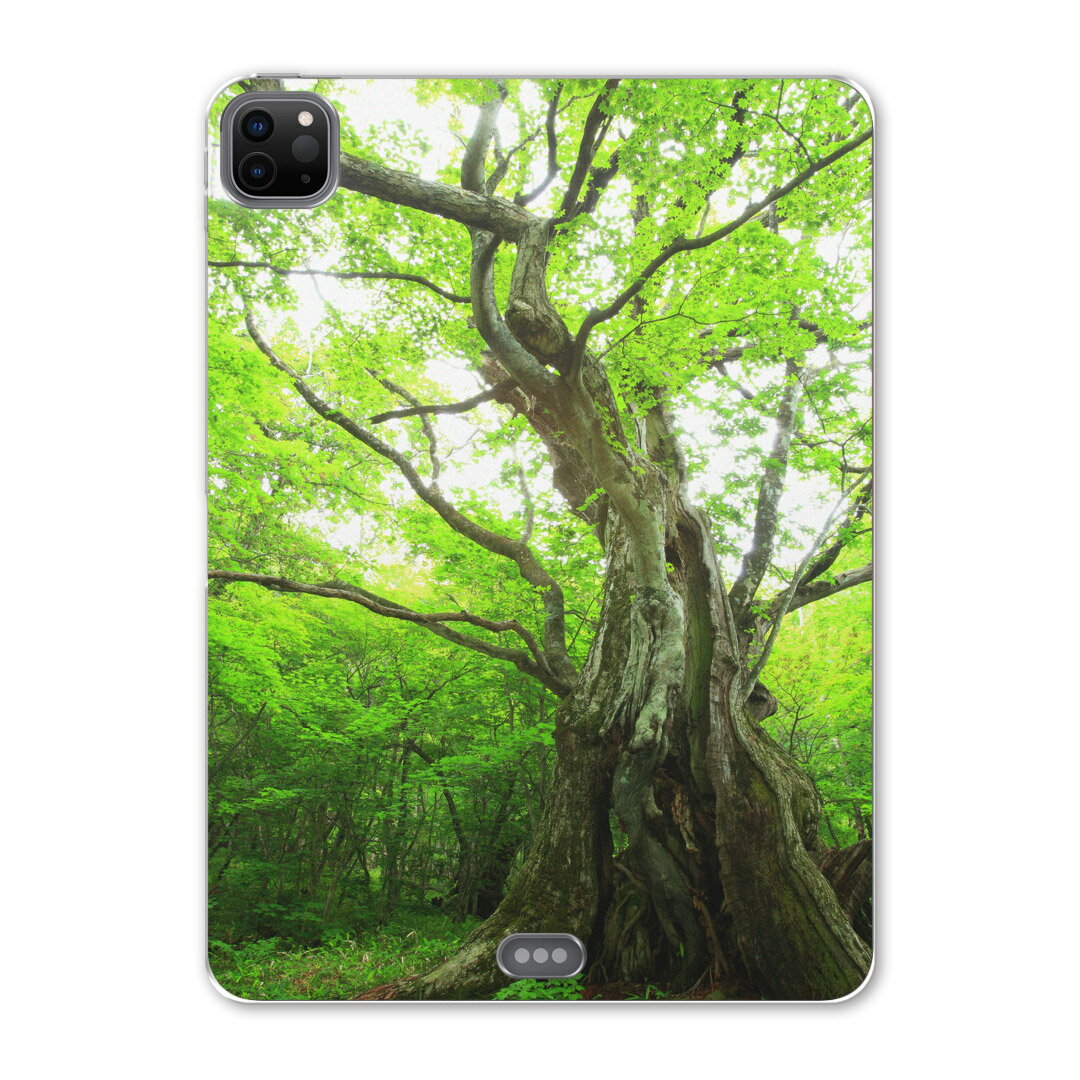 iPad Pro 12.9inch 2020発売モデル 第4世代