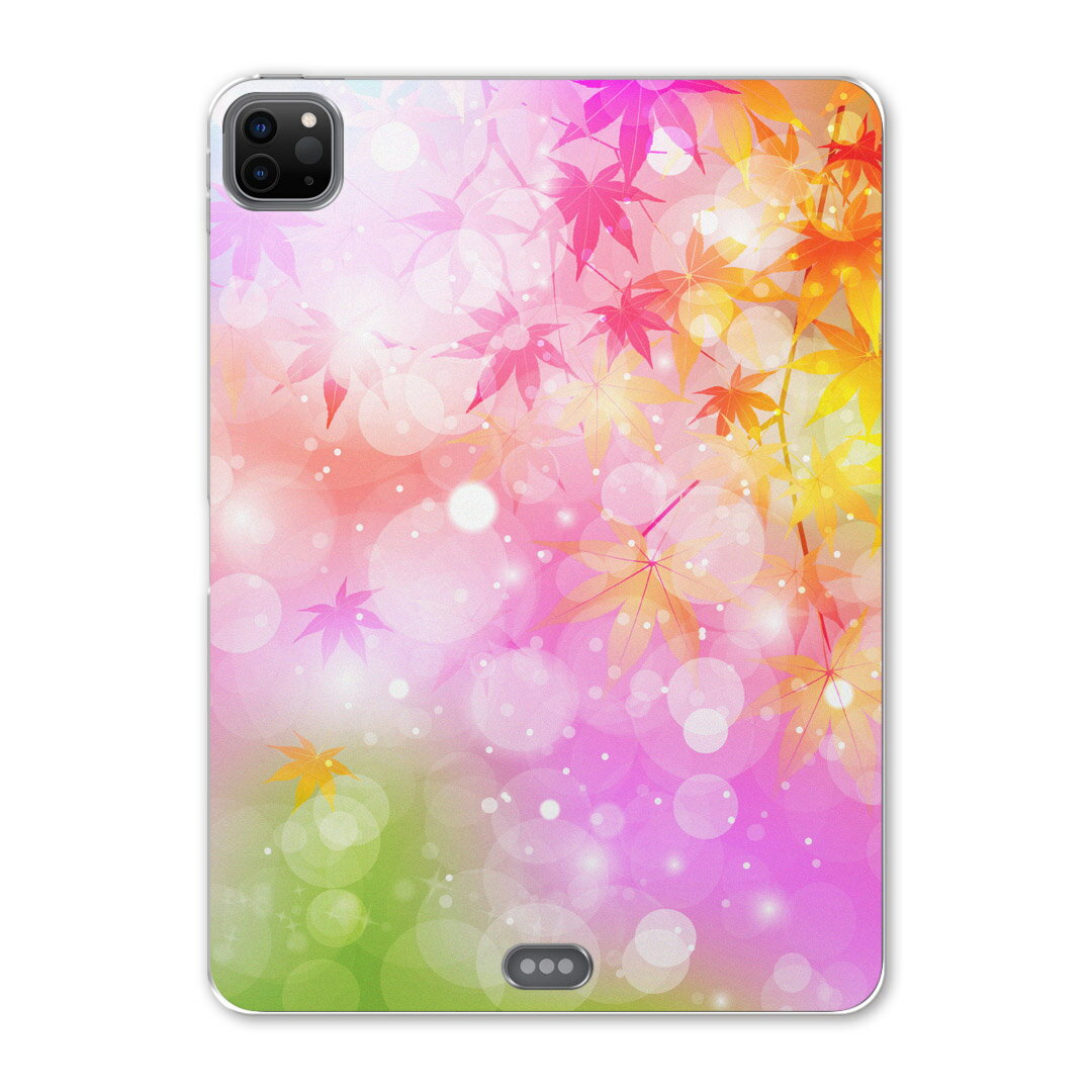 iPad Pro 12.9inch 2020発売モデル 第4世代