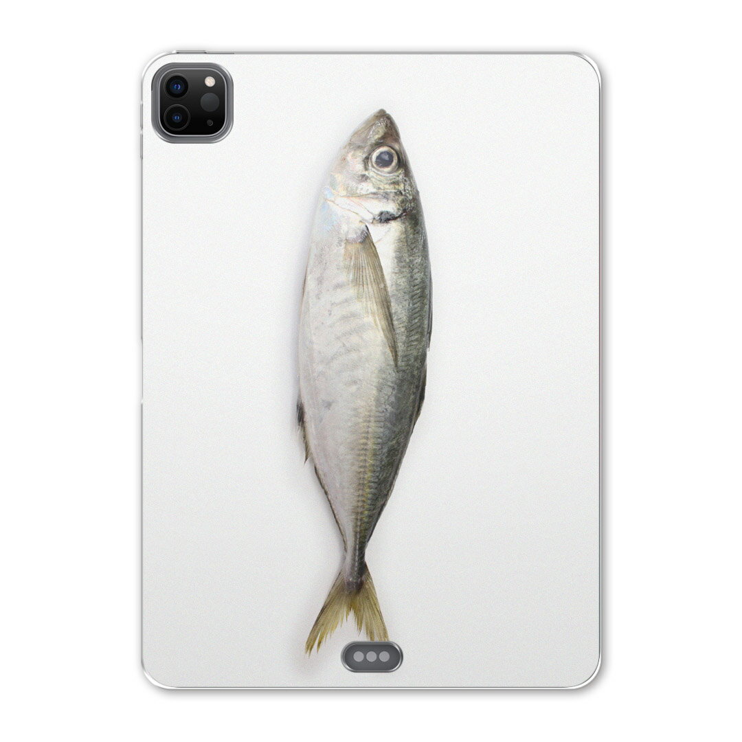 iPad Pro 12.9inch 2020発売モデル 第4世代