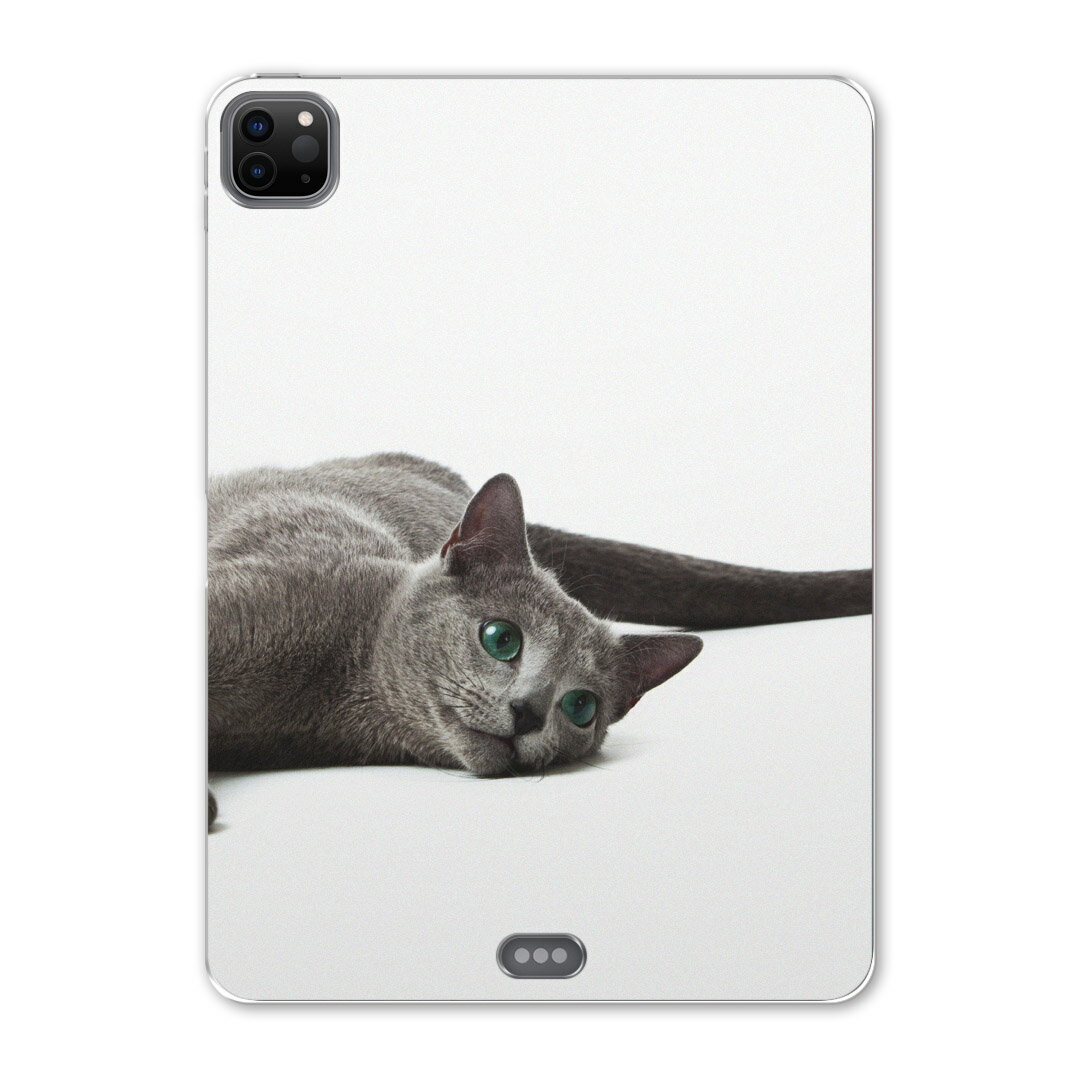 iPad Pro 12.9inch 2020発売モデル 第4世代