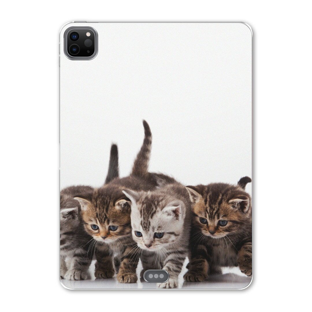 iPad Pro 12.9inch 2020発売モデル 第4世代