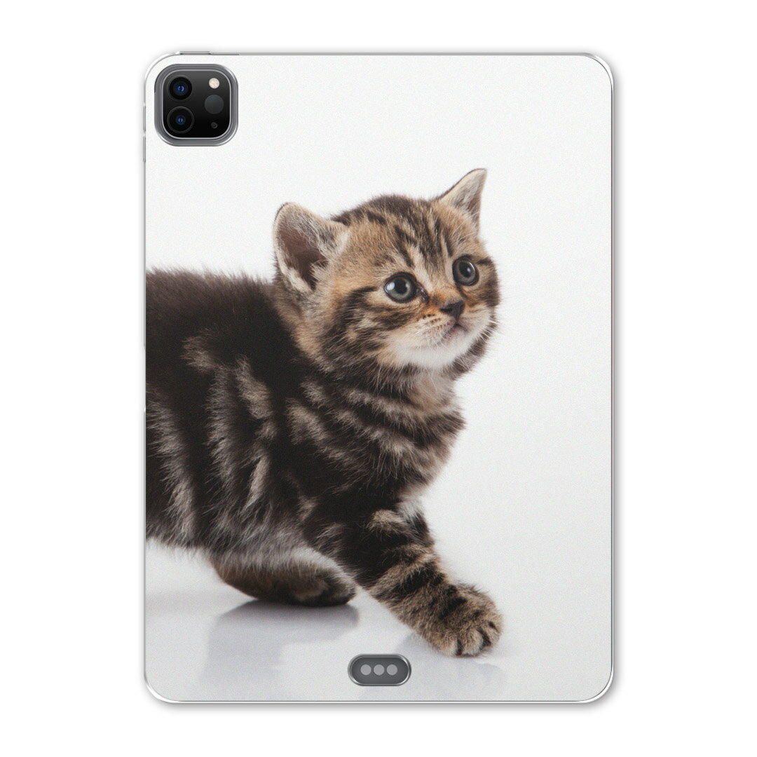 iPad Pro 12.9inch 2020発売モデル 第4世代