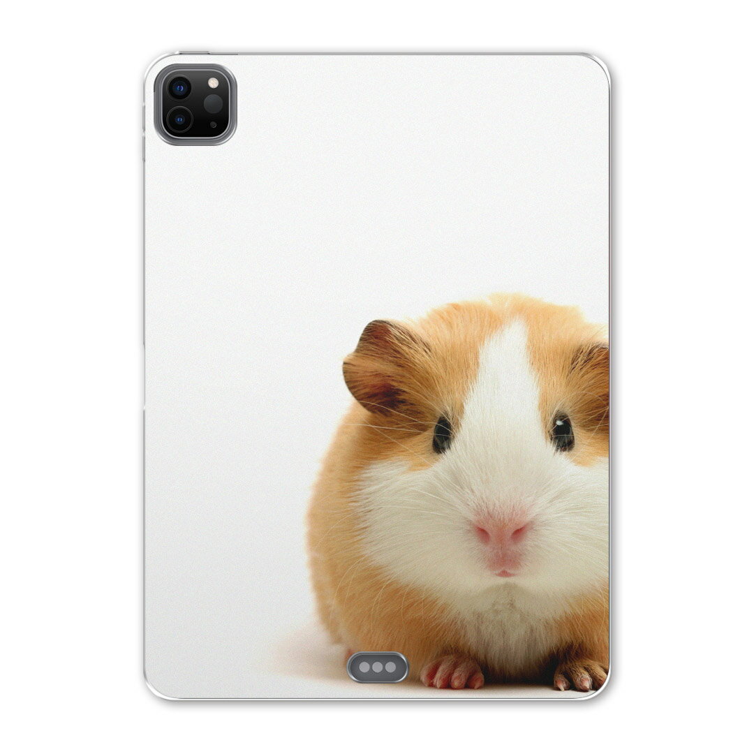 iPad Pro 12.9inch 2020発売モデル 第4世代