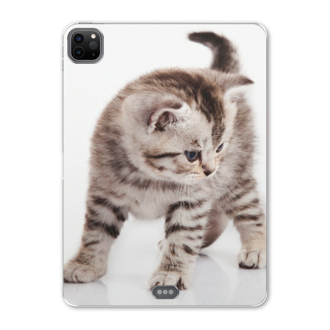 iPad Pro 12.9inch 2020発売モデル 第4世代