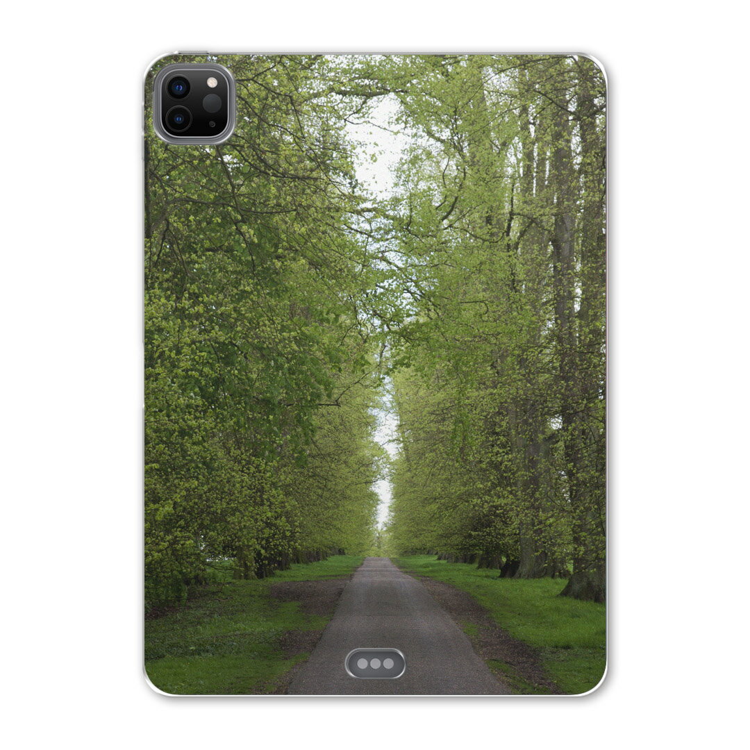 iPad Pro 12.9inch 2020発売モデル 第4世代