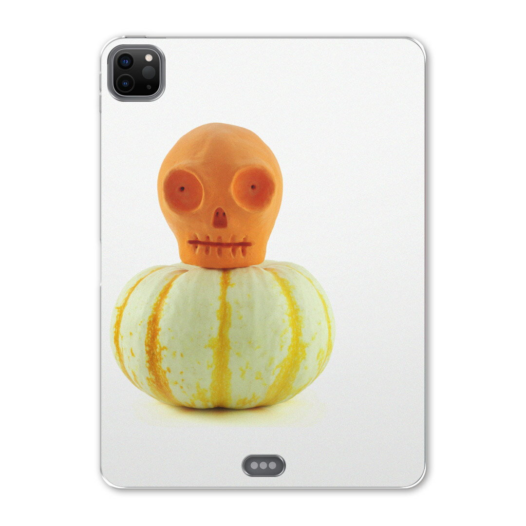 iPad Pro 12.9inch 2020発売モデル 第4世代