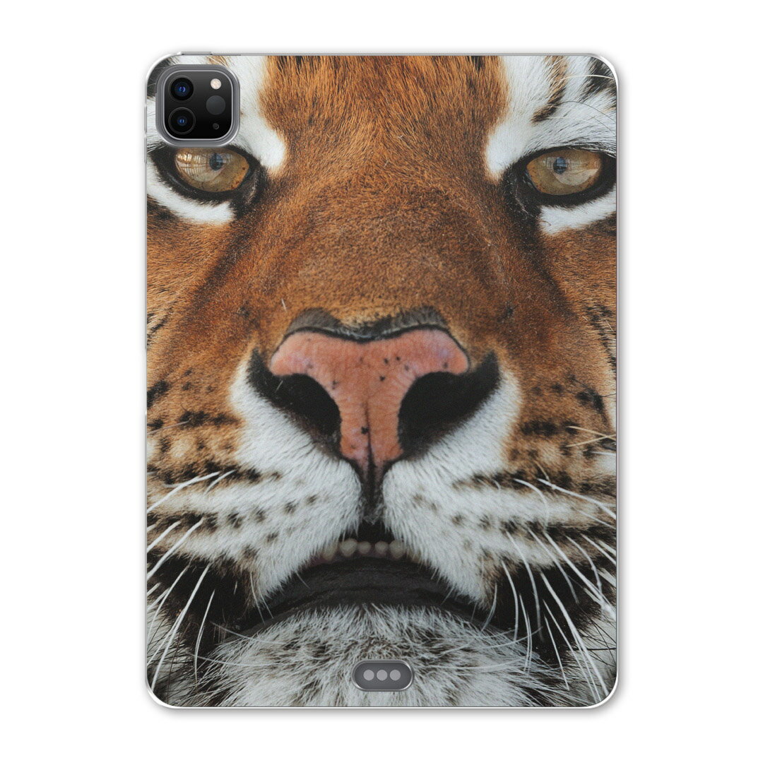 iPad Pro 12.9inch 2020発売モデル 第4世代