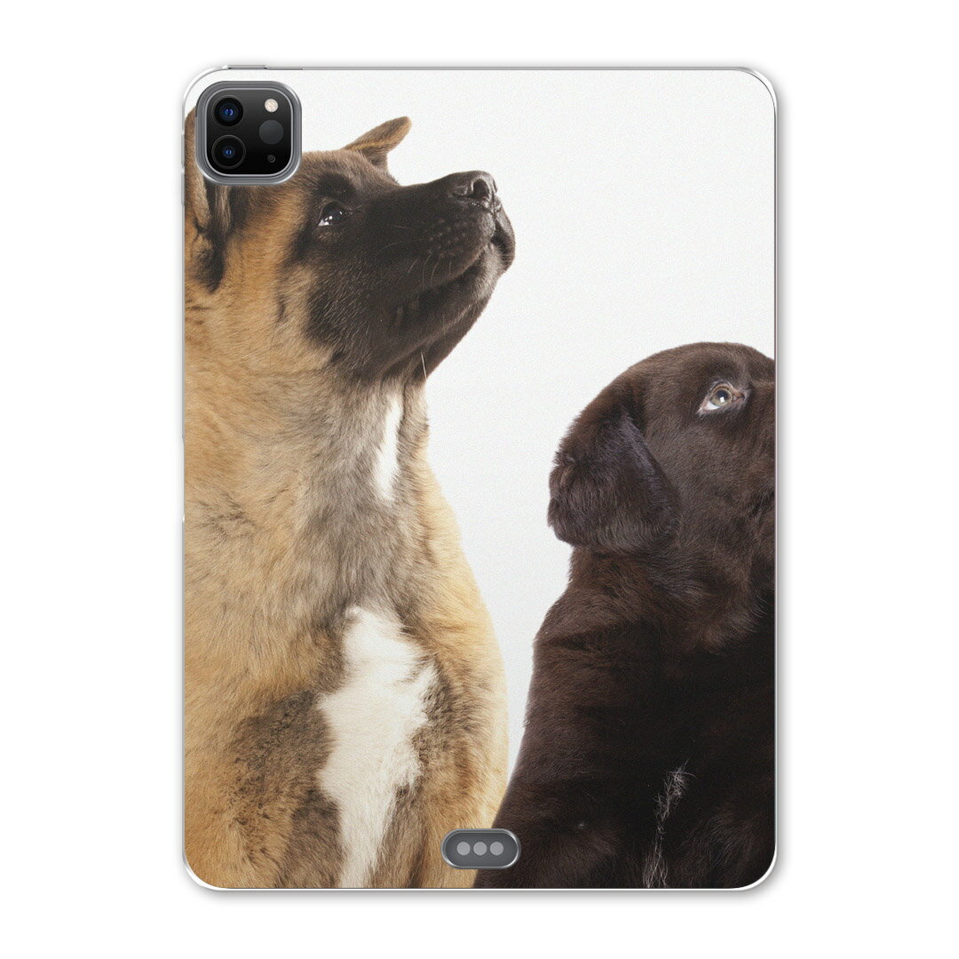 iPad Pro 12.9inch 2020発売モデル 第4世代