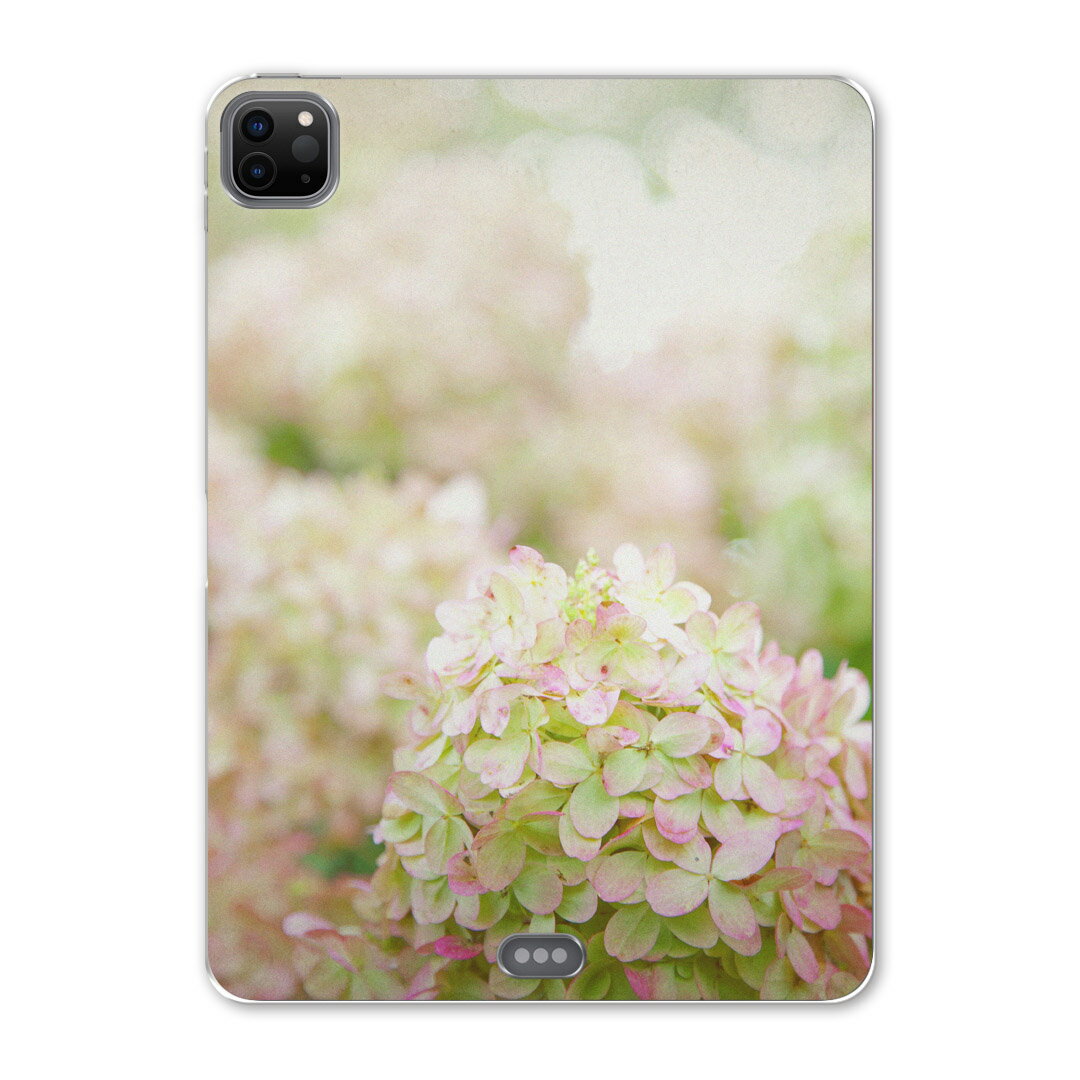 iPad Pro 12.9inch 2020発売モデル 第4世代