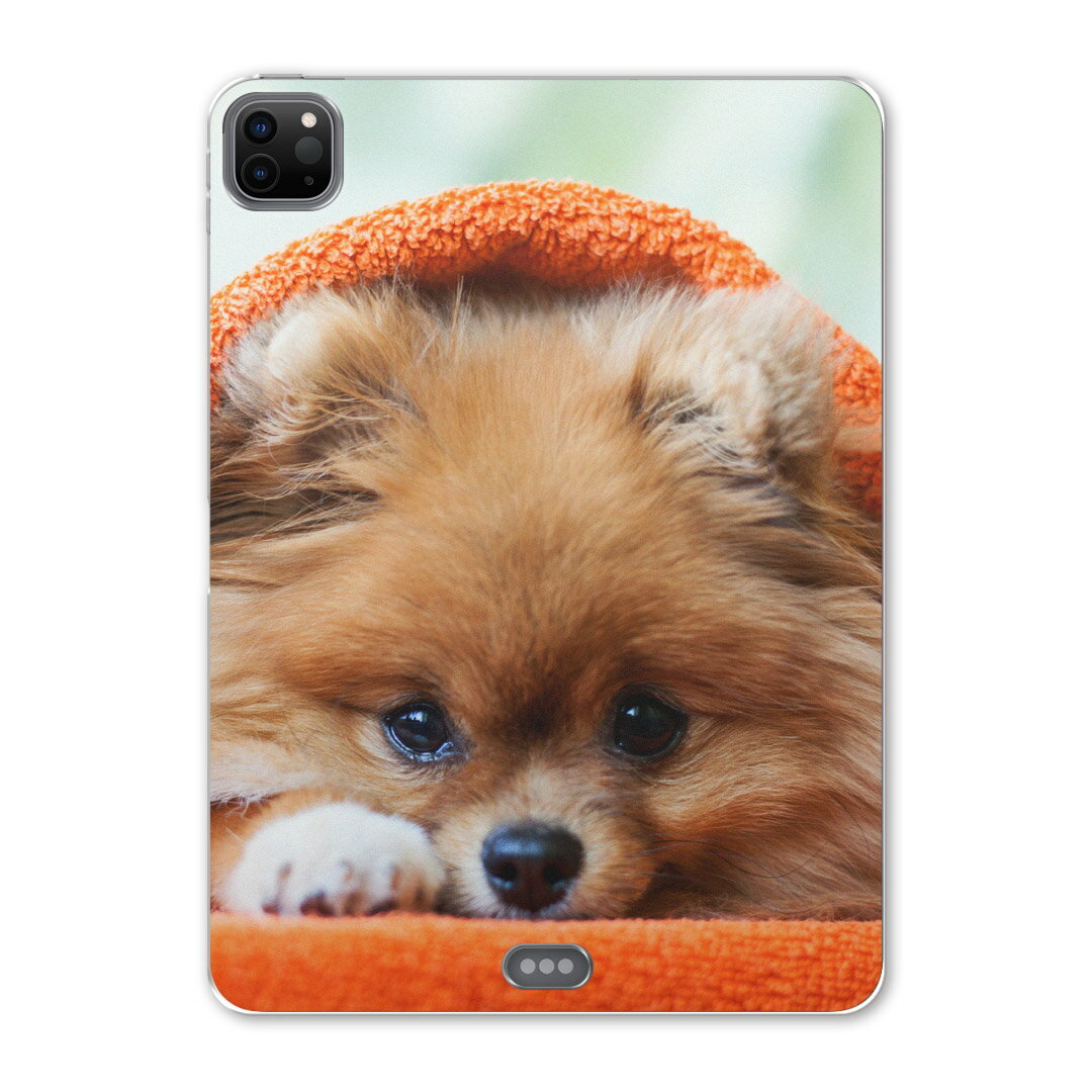 iPad Pro 12.9inch 2020発売モデル 第4世代