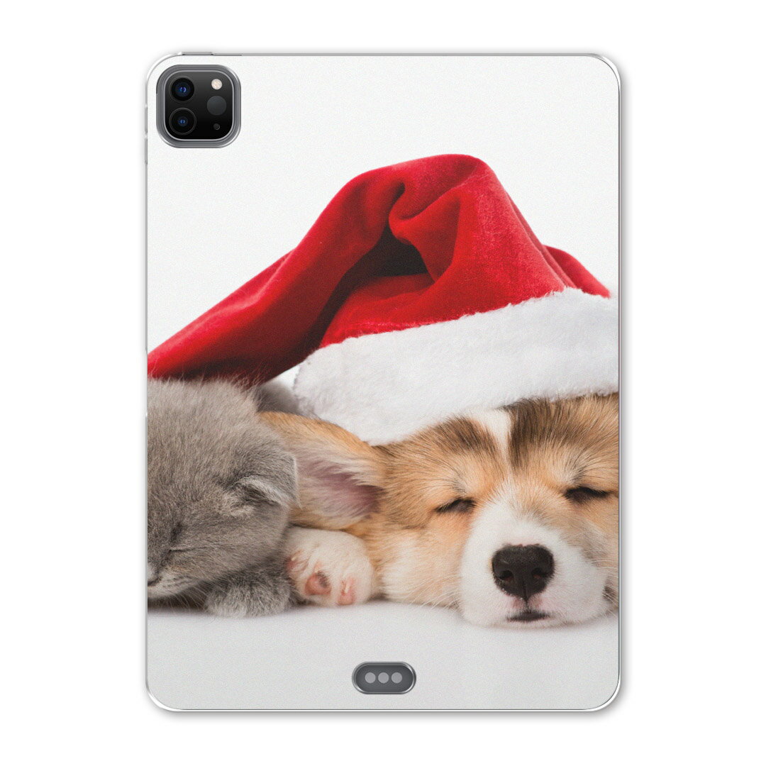 iPad Pro 12.9inch 2020発売モデル 第4世代