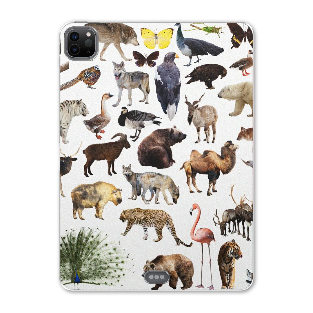 iPad Pro 12.9inch 2020発売モデル 第4世代