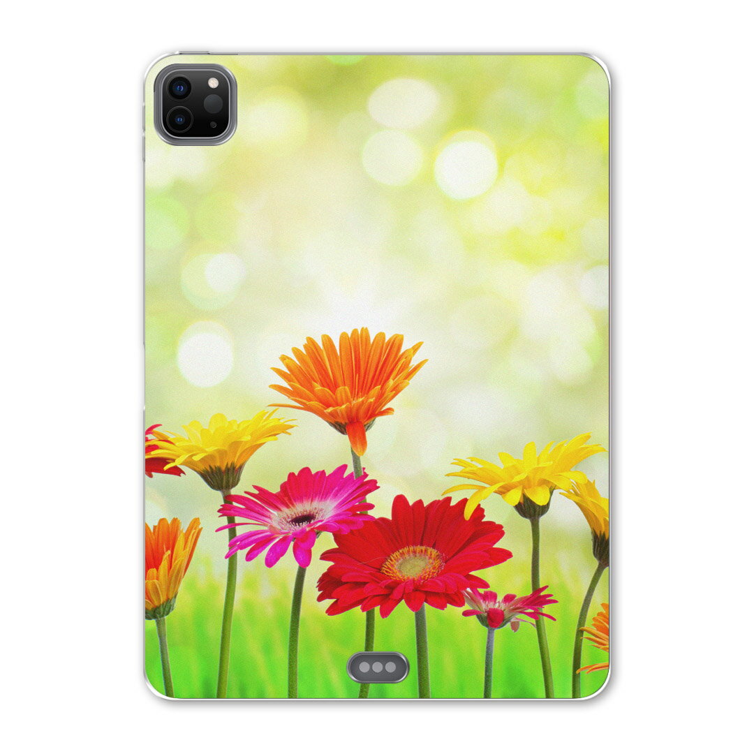 iPad Pro 12.9inch 2020発売モデル 第4世代