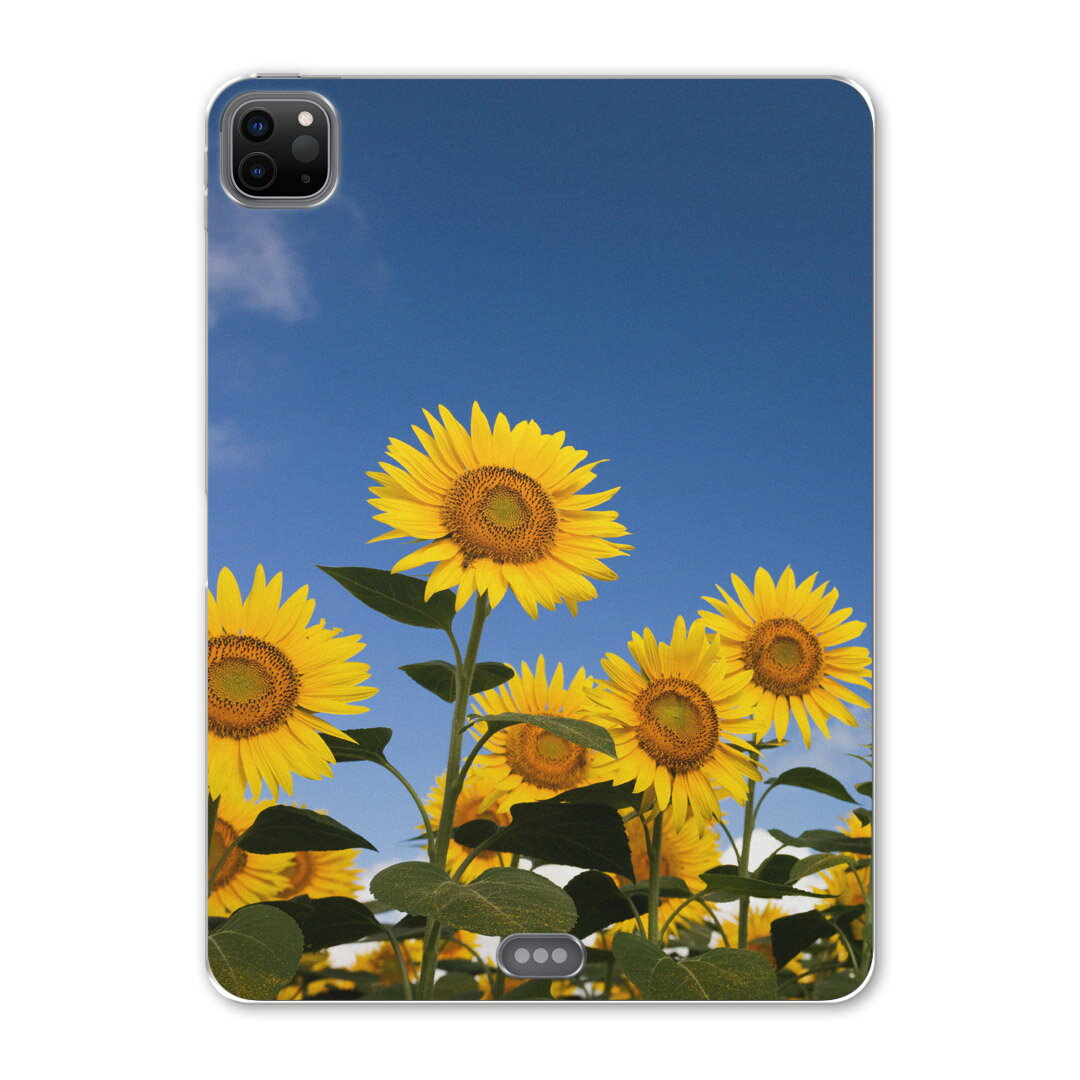 iPad Pro 12.9inch 2020発売モデル 第4世代